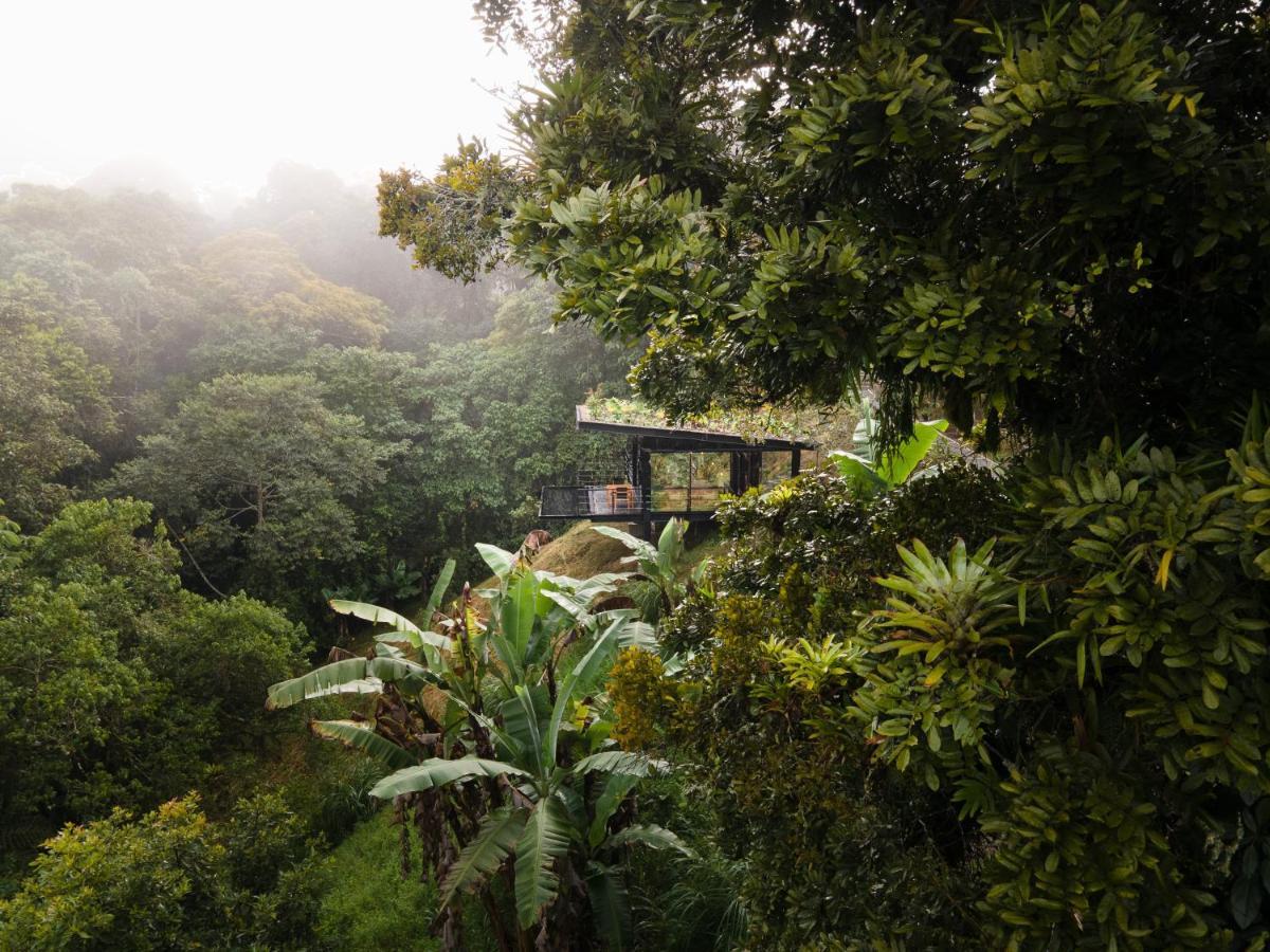 Bio Habitat